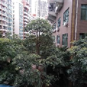 洪和烨